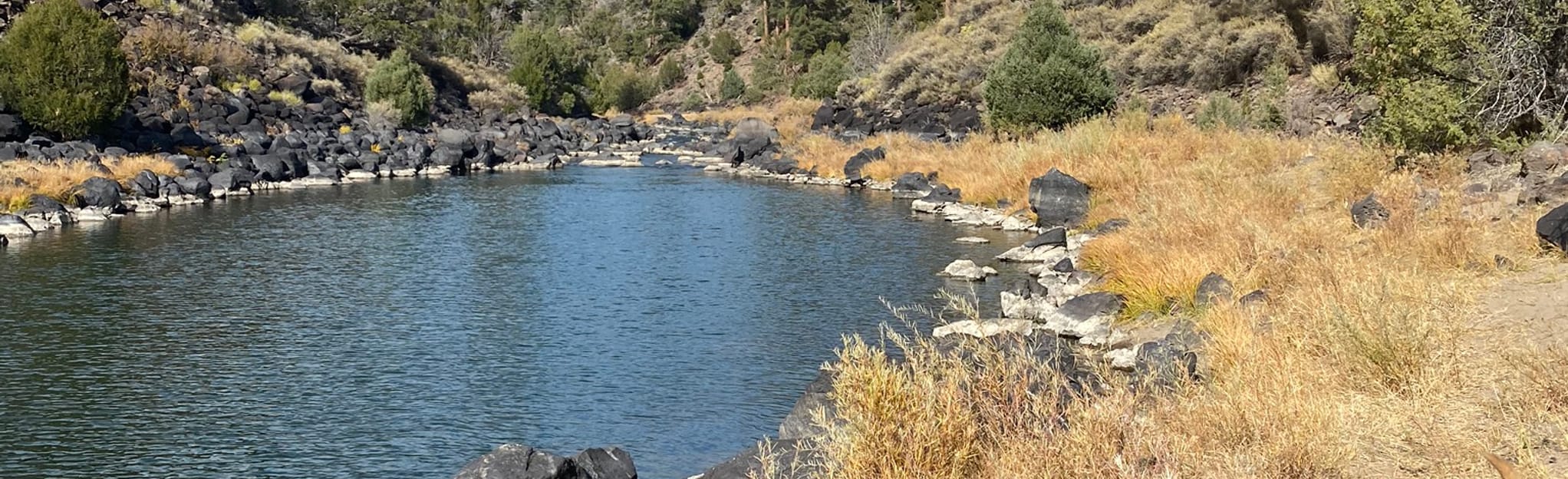 La Junta and River Trail Loop: 18 Reviews, Map - New Mexico | AllTrails