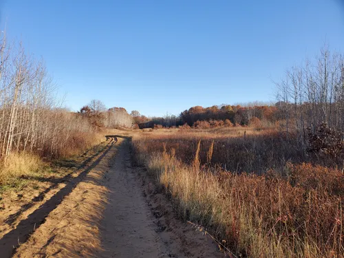 Best Hikes and Trails in Navarino State Wildlife Area AllTrails