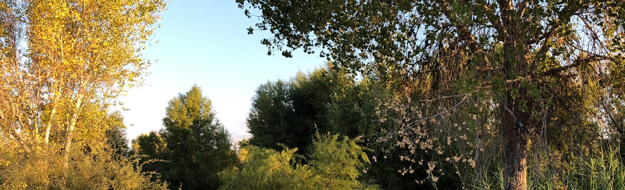 Box Bar Recreation Verde River Trail, Arizona 25 Reviews, Map AllTrails