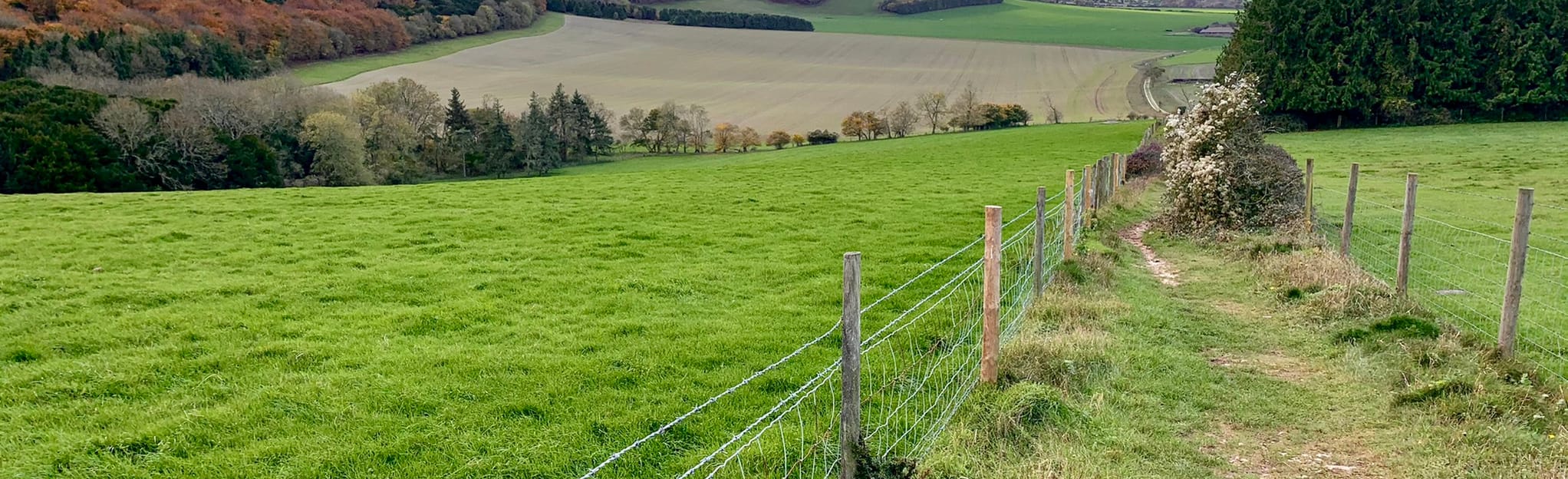 Stoughton and East Marden Circular 174 fotos West Sussex, England