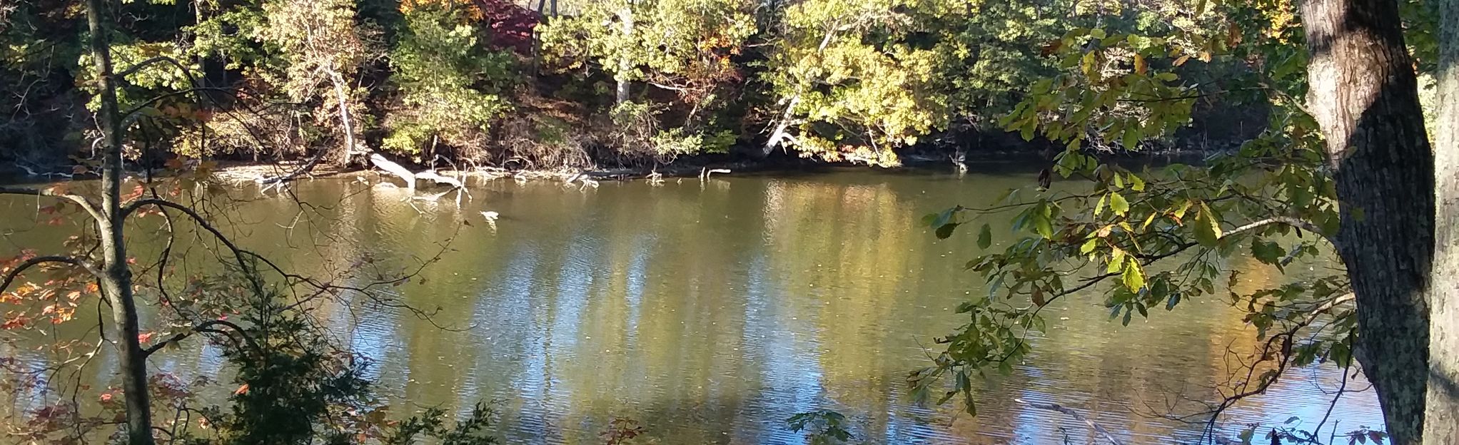 Greenwell State Park Red Trail 28 Reviews, Map Maryland AllTrails