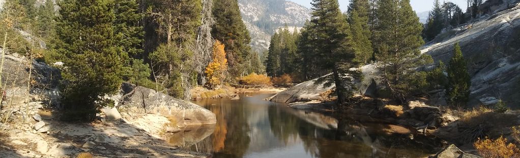 are dogs allowed in little yosemite