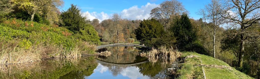 Dog walk at Alfred's Tower · Wiltshire · Walkiees