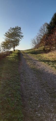 Rund um Niedermennig