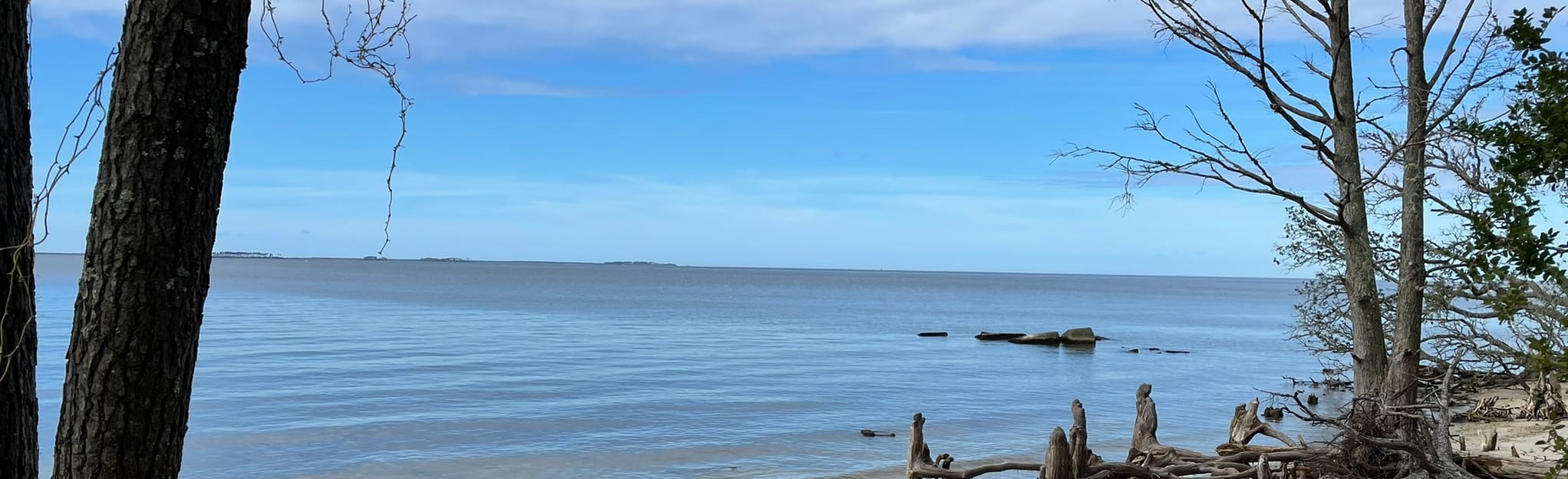 Freedom Trail, North Carolina 98 Reviews, Map AllTrails