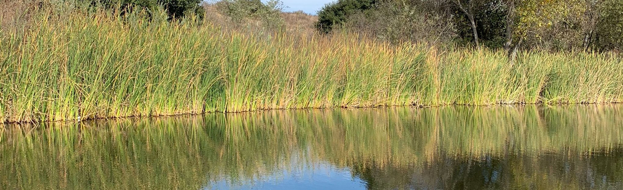 Junipero Serra and Oak Canyon Trail : 5.795 foto - California | AllTrails