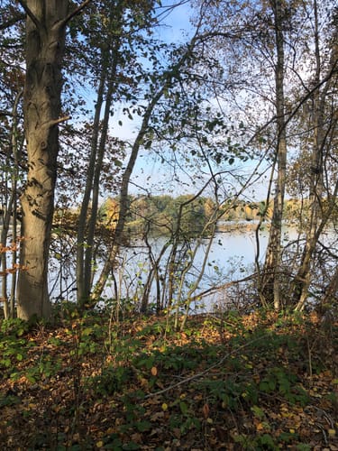 Rund um den Altwarmbüchener See