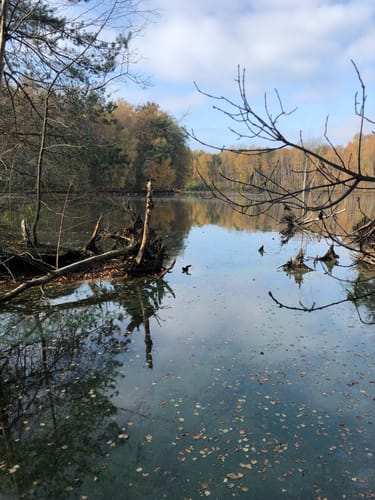 Rund um den Altwarmbüchener See
