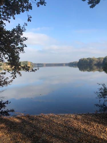 Rund um den Altwarmbüchener See