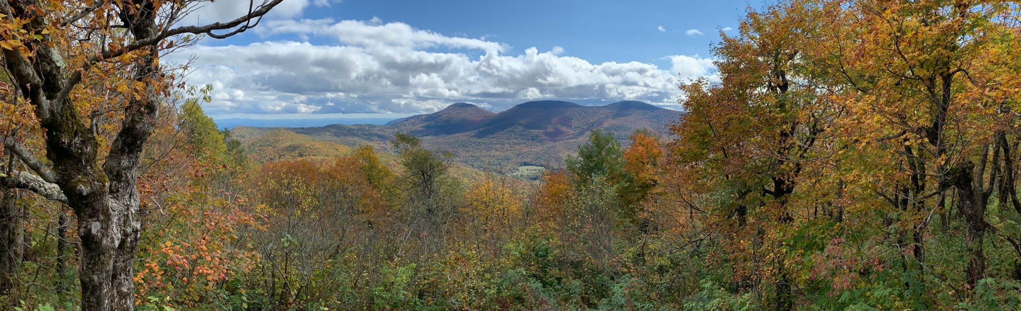 Windham High Peak via Black Dome Range Trailhead, New York - 256 ...