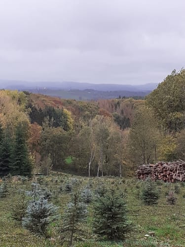 Römerwelt-Weg Rheinbrohl