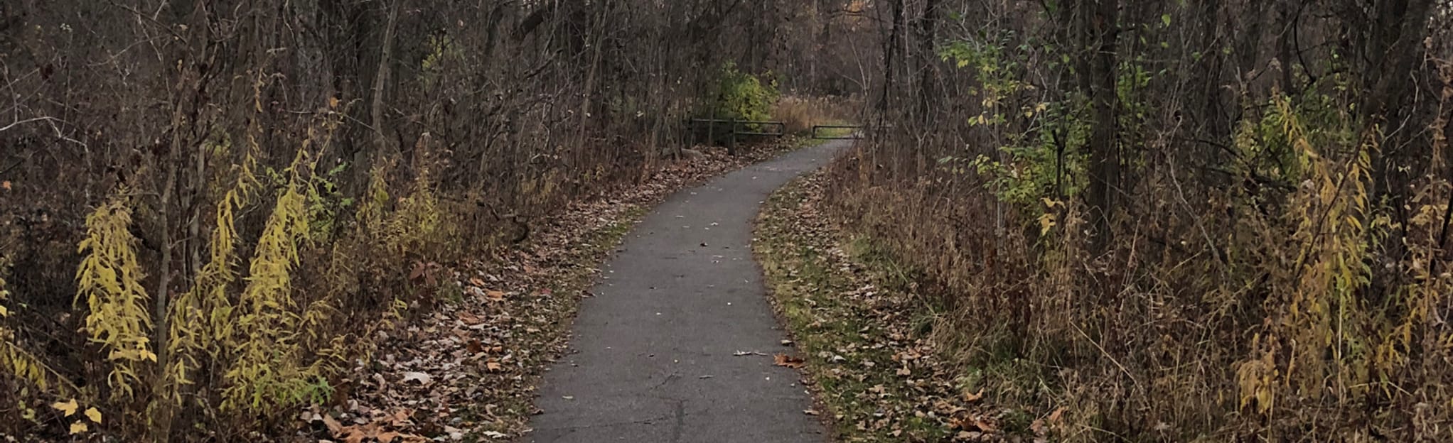 Grand River Park, Michigan 425 Reviews, Map AllTrails