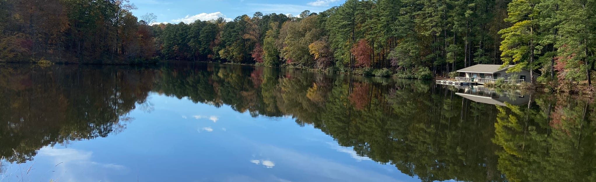 Durant Nature Preserve Border Loop Trail 467 photos North Carolina