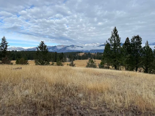 10 Best Trails and Hikes in Invermere | AllTrails