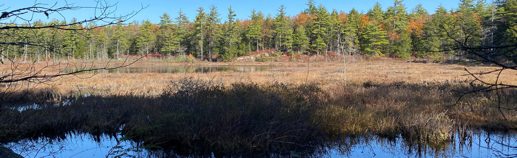North Mountain Loop Trail 612 Reviews, Map New Hampshire AllTrails