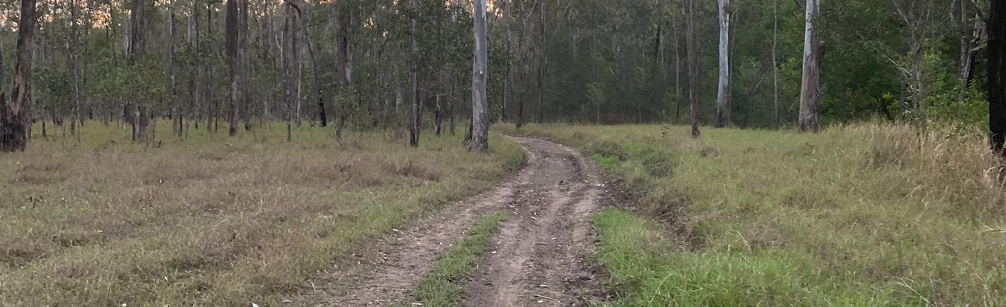 Collingwood Park Reserve 10 Reviews, Map Queensland, Australia