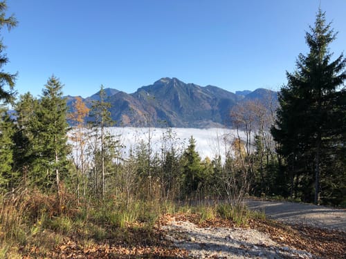 Über die Grassauer Almen (SalzAlpenTour)