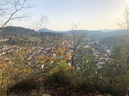 Auf den Vogelsberg