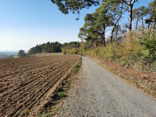 Rundwanderweg Groß-Umstadt 1: Umstädter Panoramarunde