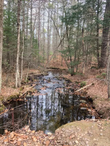 Best Forest Trails in Range Ponds State Park | AllTrails