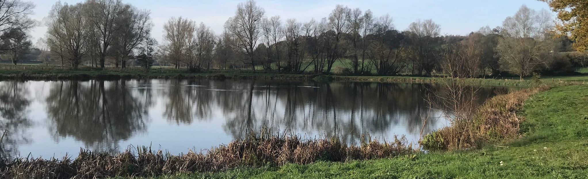 Great Bromley and Little Bromley Circular 14 Reviews, Map Essex