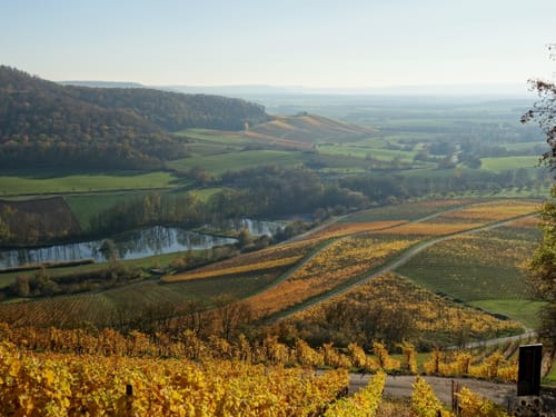 Steigerwald Panoramaweg Etappe 6: Ebrach - Michelau