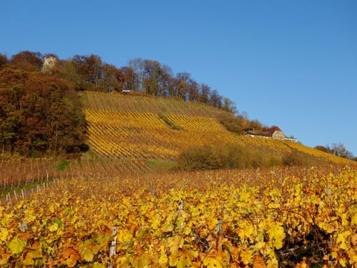 Kapelle - Handthal - Stollberg