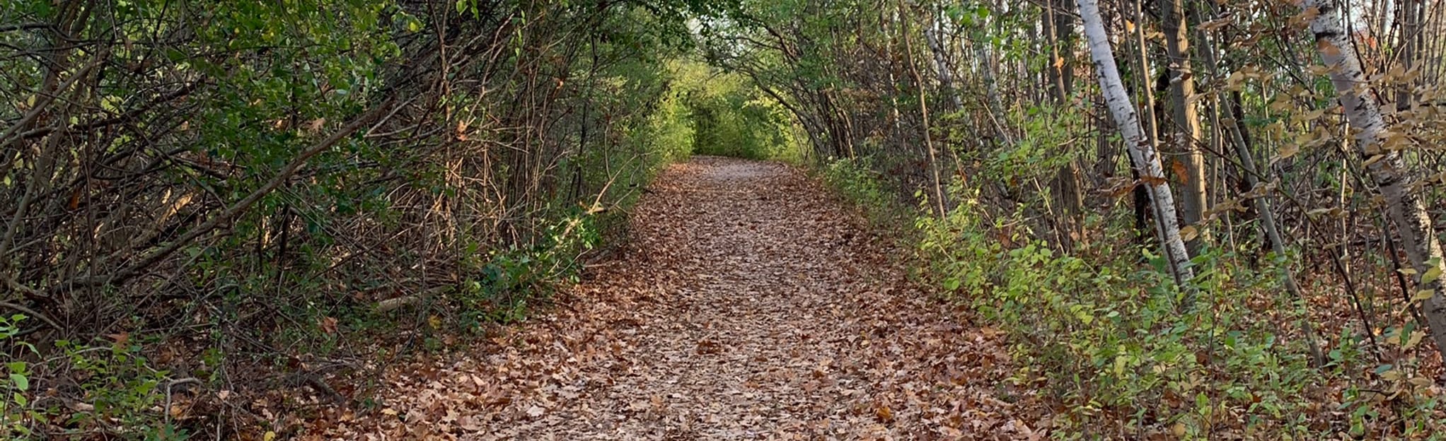 Shoreline Woods via Morrison Creek Map, Guide Ontario, Canada