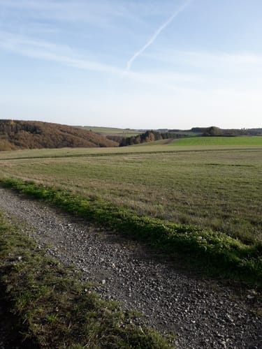 Naturpark Südeifel Nr. 2 Reipeldingen - Dahnen