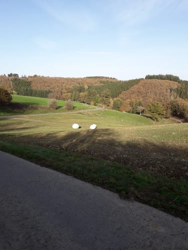 Naturpark Südeifel Nr. 2 Reipeldingen - Dahnen