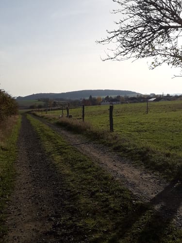 Naturpark Südeifel Nr. 2 Reipeldingen - Dahnen