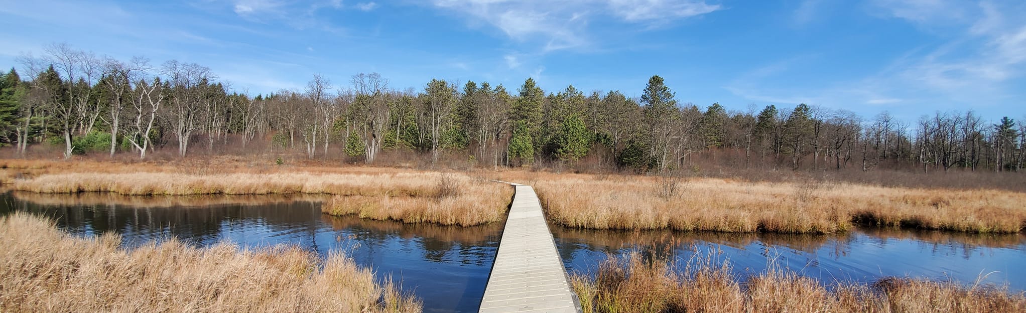 Beaver Meadows Loop, Pennsylvania 70 Reviews, Map AllTrails