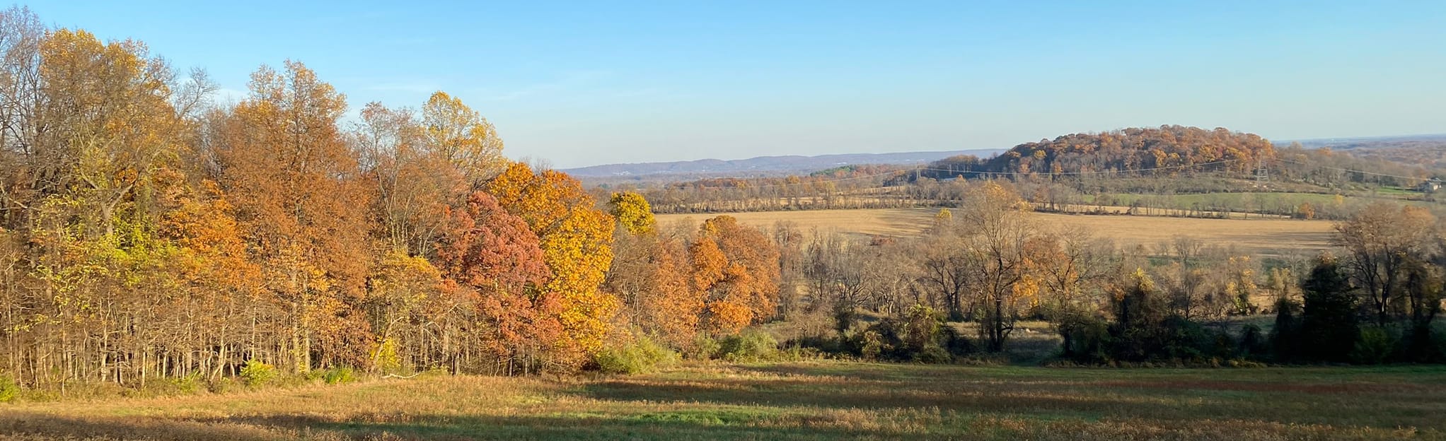 Hill and Dale Preserve Loop 41 Reviews, Map New Jersey AllTrails