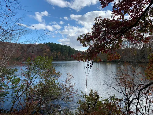 Best 10 Hikes and Trails in Natchez Trace State Park | AllTrails