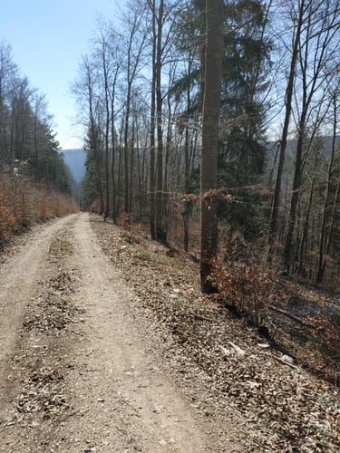 Rundweg: Oberflacht - Lupfen