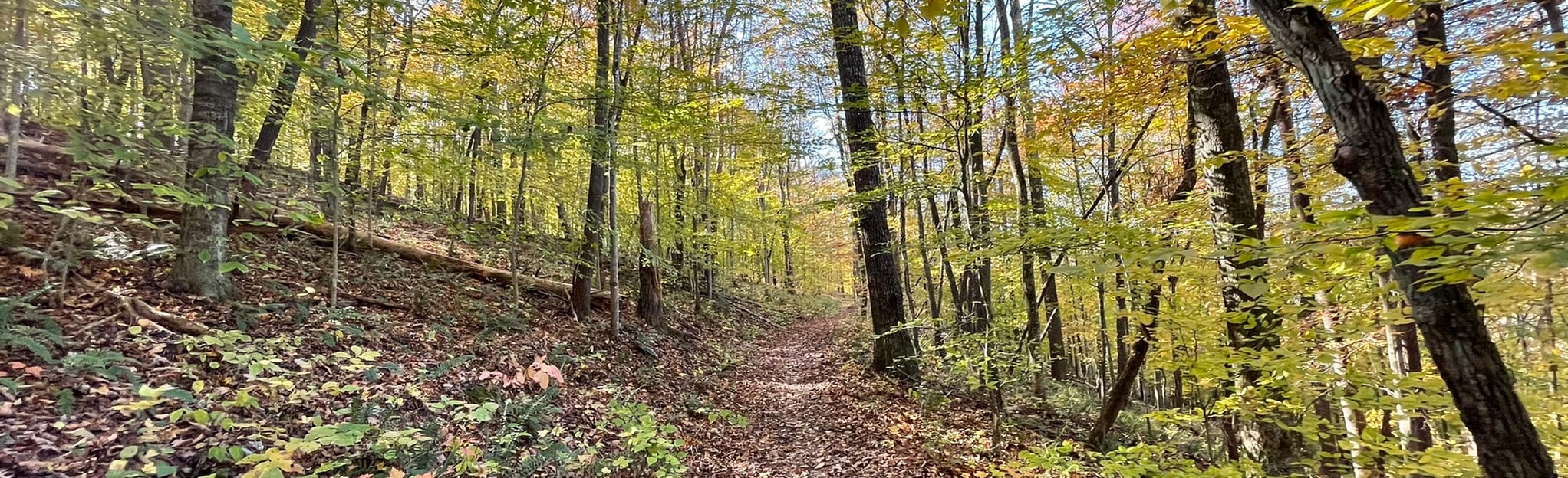 AllTrails | Norris Dam Lakeside Loop Trail: 224 Reviews, Map - Tennessee