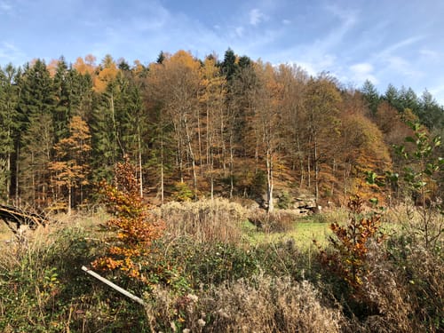Deutschritter-Tour (Premiumwanderweg)