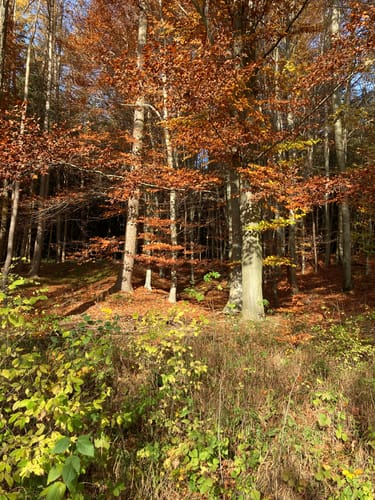 Tour 8 - Am Rande des Naturparks