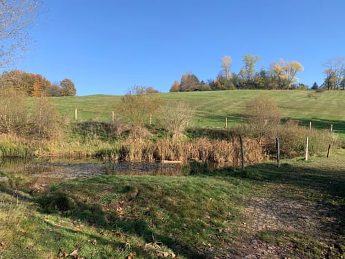 Altfranken - Zauckerode - Pesterwitz