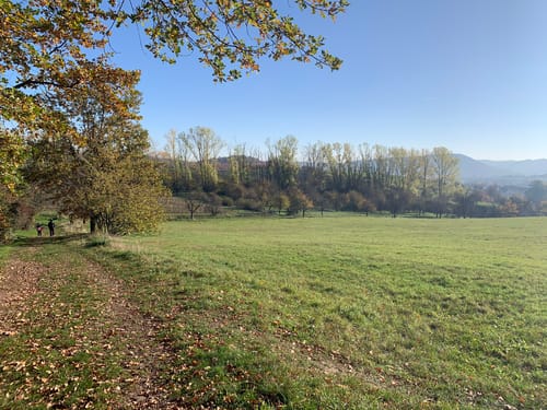 Altfranken - Zauckerode - Pesterwitz