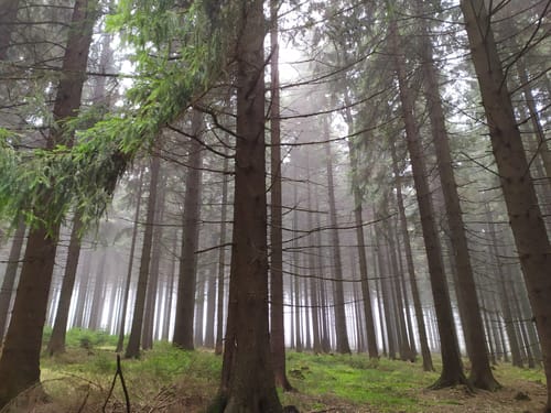 2023 Best 10 Long Trails in Chráněná krajinná oblast (CHKO) Broumovsko