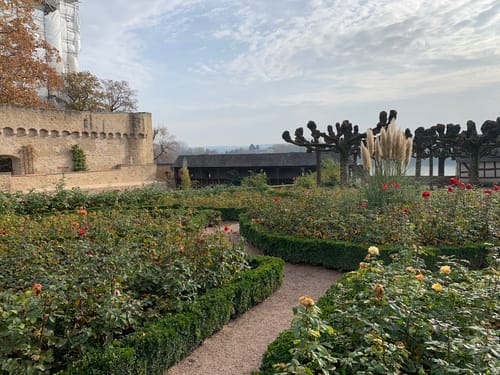 Vom Schloss Biebrich nach Eltville am Rhein entlang