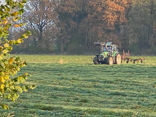 Am Schülper Moor