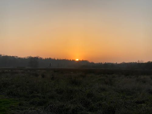 Am Schülper Moor