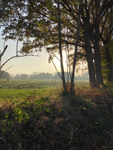 Am Schülper Moor
