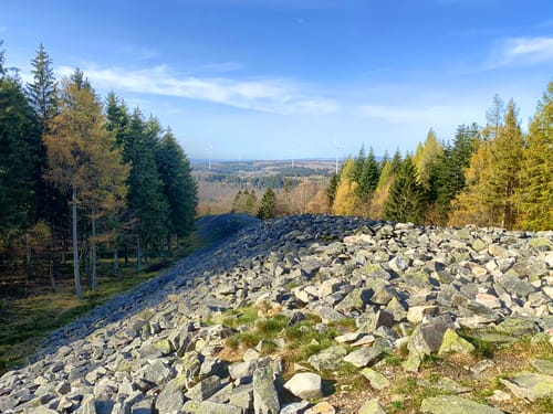Dollbergschleife (Traumschleife)