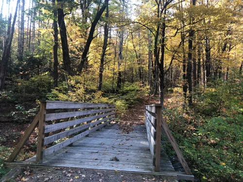 Best Hikes and Trails in Brooks Woodland Preserve | AllTrails