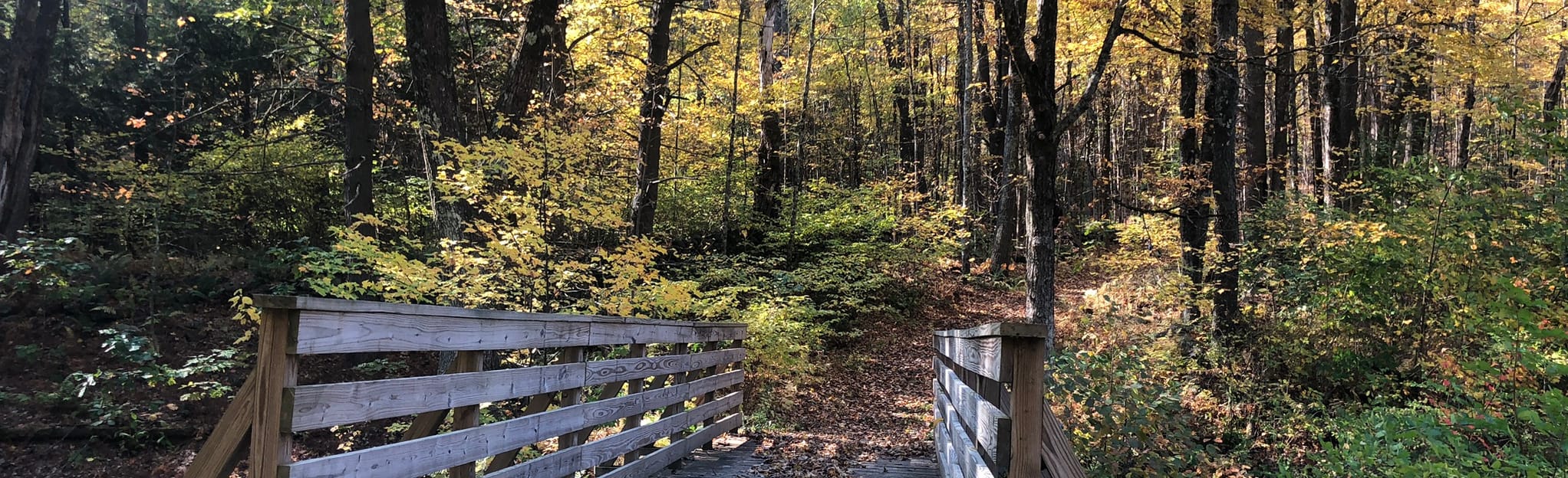 Moccasin Brook and Swift River Trail, Massachusetts 49 Reviews, Map