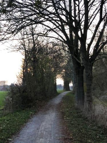 Haldenumrundung Dolberg