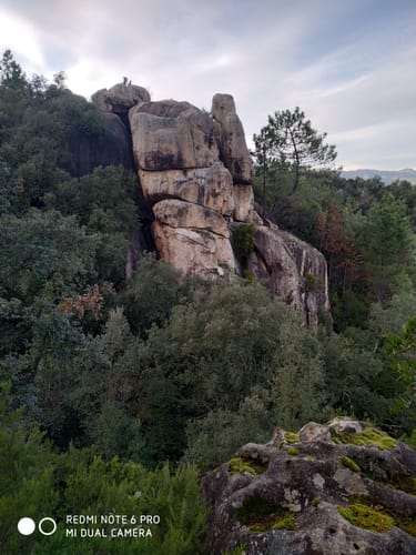 Best mountain biking trails in Santa Coloma de Farners | AllTrails